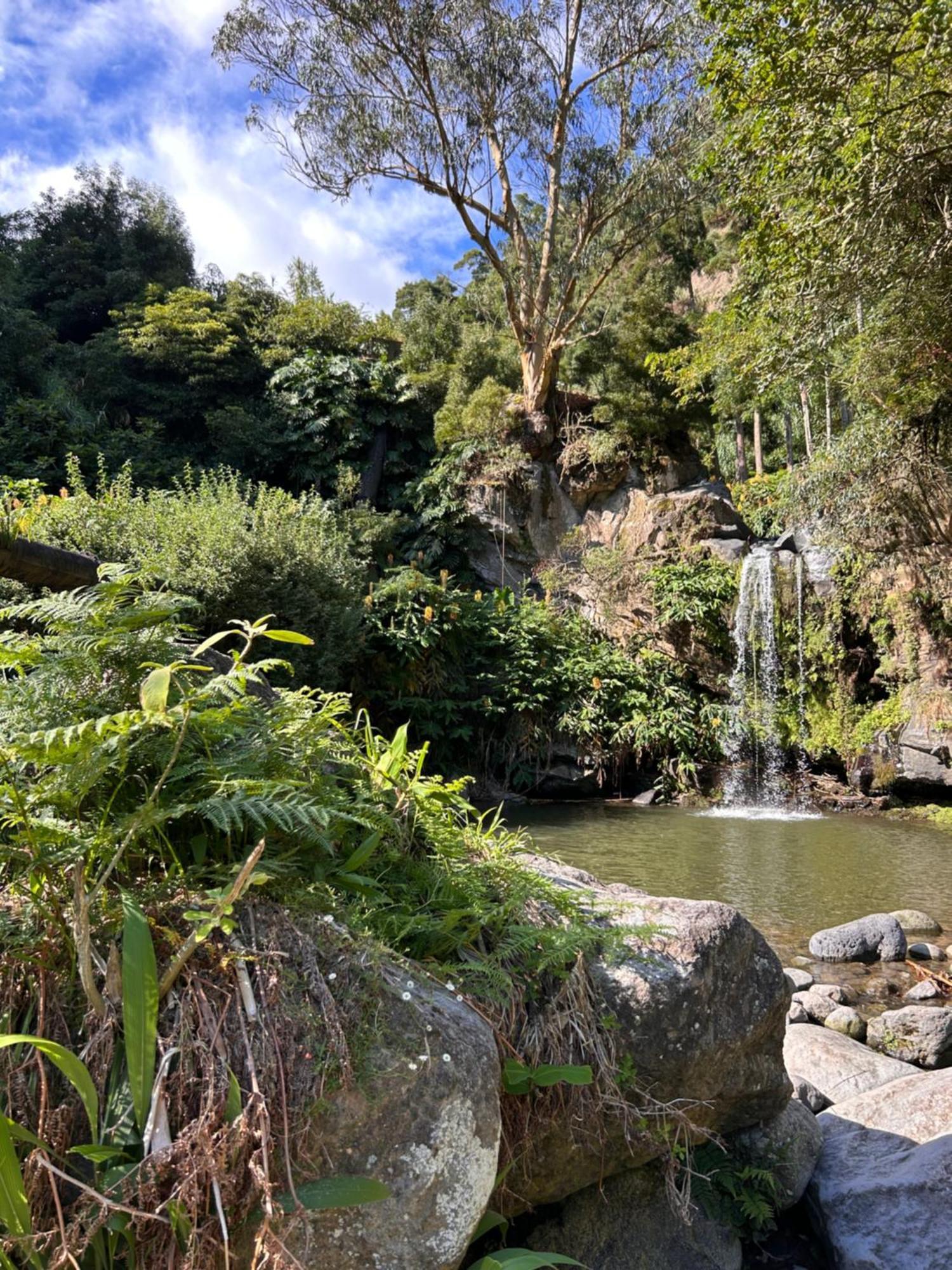 Eco Surflodge Azores Ribeira Grande Exteriör bild